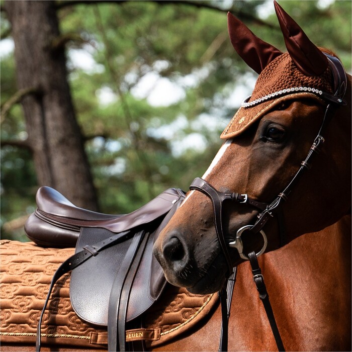 Penny - FLY HORSE  Star Point Horsemanship Miniature Horse/Pony UV Fly Mask